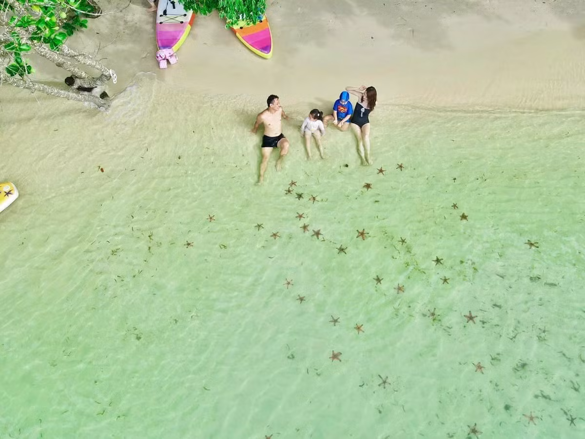 Tuy nhiên, khi đến Rạch Vẹm, du khách cũng được khuyến khích chỉ nên ngắm nhìn và chụp ảnh sao biển trong môi trường tự nhiên, hạn chế di chuyển hoặc mang chúng ra khỏi mặt nước để bảo vệ hệ sinh thái nơi đây. Ảnh Kim Phượng