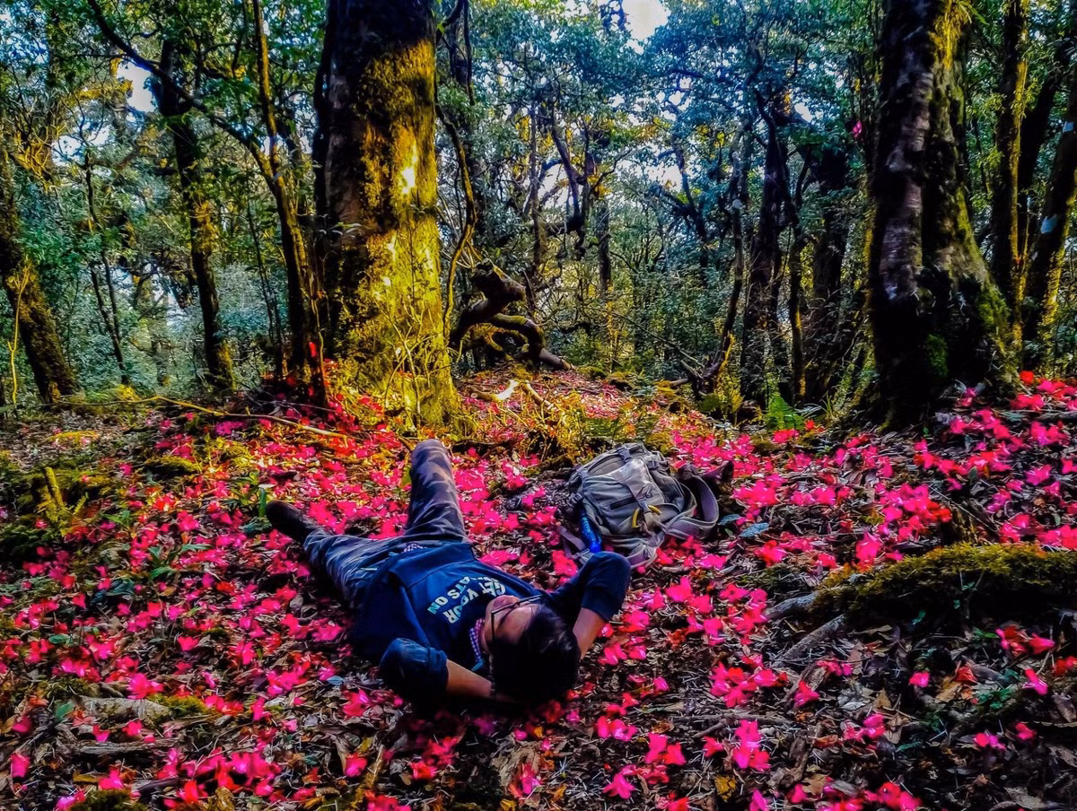 pu-ta-leng.jpg