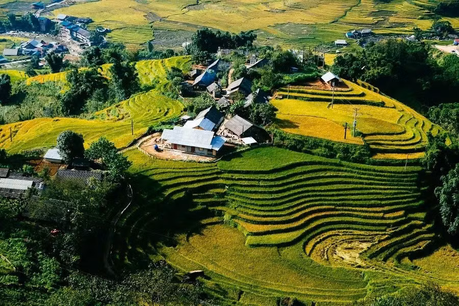 Ngôi làng nhỏ này là nơi sinh sống của đồng bào Dao Đỏ, Giáy và Mông, tựa lưng vào núi cao, quanh năm mây phủ, tạo nên khung cảnh hoang sơ, thanh bình. Đến Tả Phìn, du khách không chỉ được đắm mình trong vẻ đẹp thiên nhiên mà còn có cơ hội tìm hiểu đời sống, văn hóa truyền thống và lưu giữ những trải nghiệm khó quên. Ảnh MIA