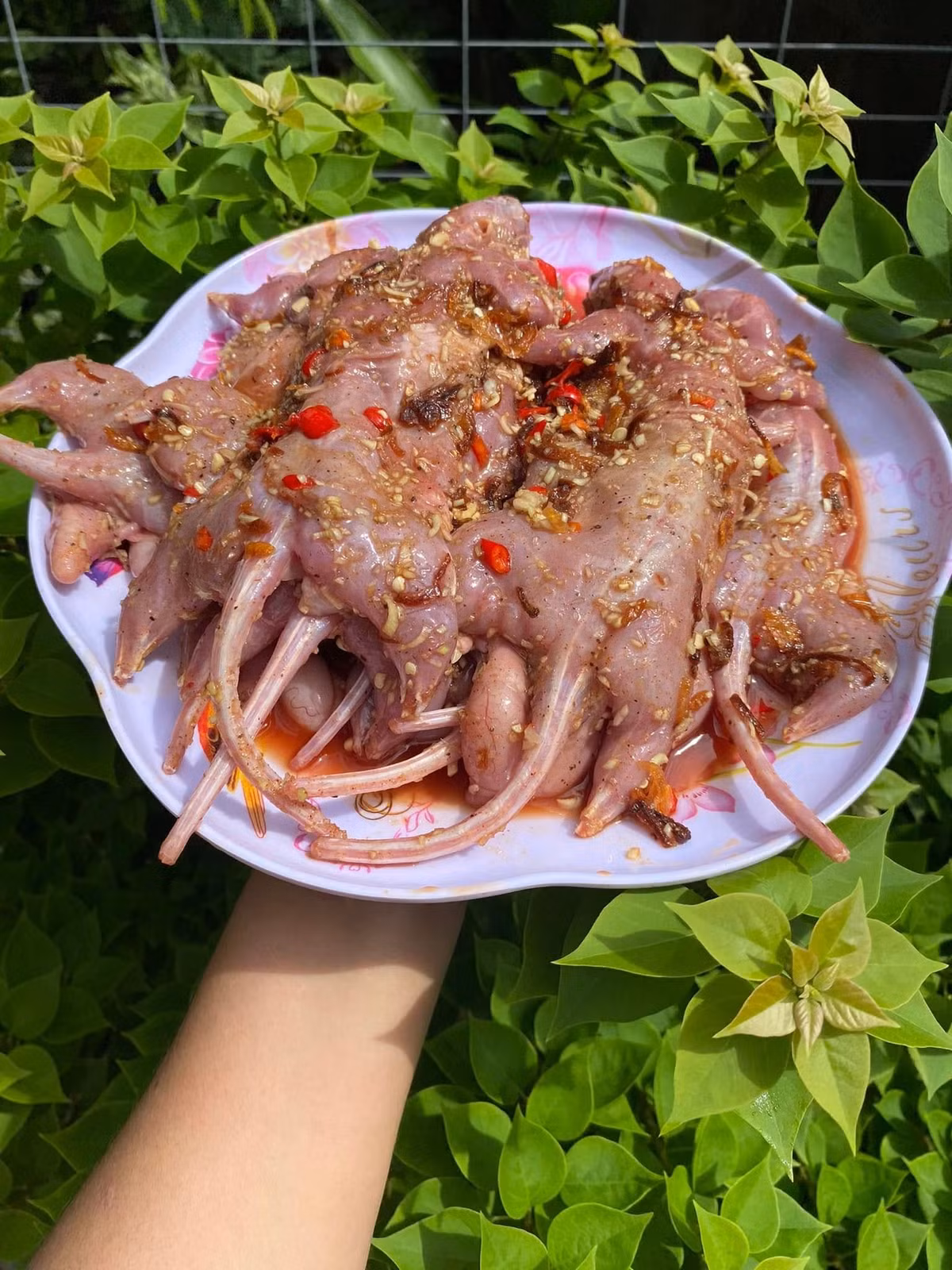 Nhắc đến ẩm thực miền Tây, nhiều người sẽ nghĩ ngay đến cá linh, bông điên điển hay những món ăn gắn liền với mùa nước nổi. Tuy nhiên, tại Vĩnh Long (Bến Tre cũ), còn có một món ăn dân dã nhưng đủ sức khiến không ít người “nổi da gà” ngay từ tên gọi đó là chuột dừa. Ảnh Lê Thị Thúy Lil