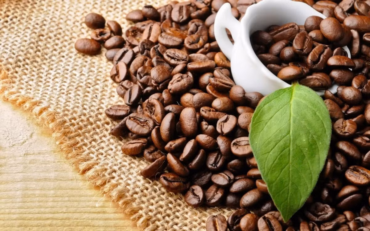 Chất lượng hạt cà phê cũng ảnh hưởng trực tiếp đến giá trị dinh dưỡng. Các loại hạt rang vừa, có nguồn gốc rõ ràng thường chứa lượng polyphenol cao hơn hạt rang kỹ hay để lâu. Ảnh minh họa
