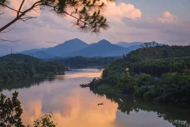 Khung cảnh nên thơ ấy càng trở nên quyến rũ khi được bao phủ bởi màu xanh bạt ngàn của rừng thông, điểm xuyết bởi vài bụi hoa dại, gió thổi nhẹ làm rì rào cành lá – tất cả gợi lên một bức tranh vừa mộc mạc, vừa mơ màng. Ảnh Traveloka