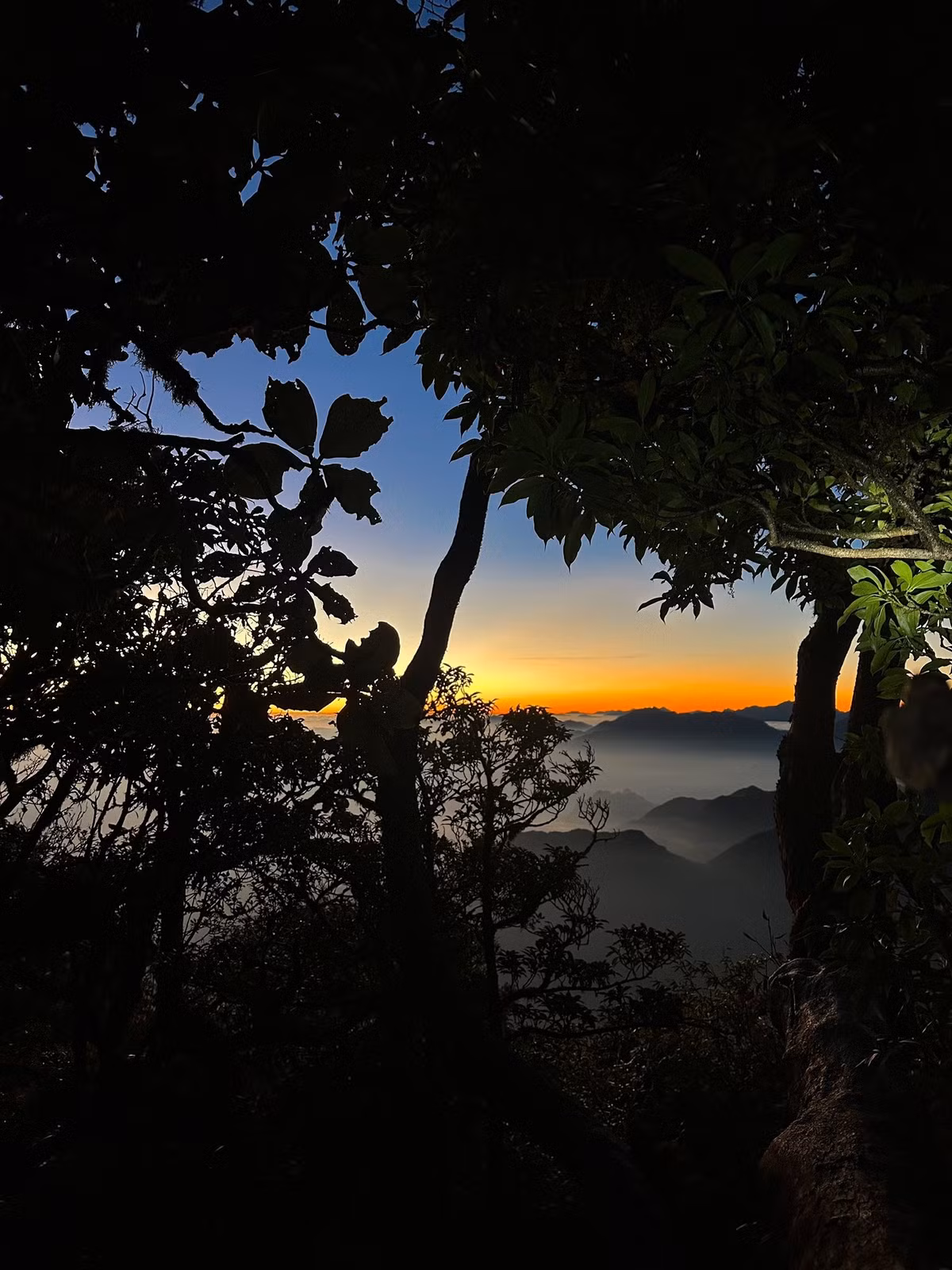 Để hành trình trekking trở nên thuận tiện và không phải lo lắng về hậu cần, nhiều công ty lữ hành uy tín đã xây dựng các tour trọn gói chinh phục Nhìu Cồ San với lịch trình, dịch vụ và giá cả rõ ràng. Ảnh Yến Yến