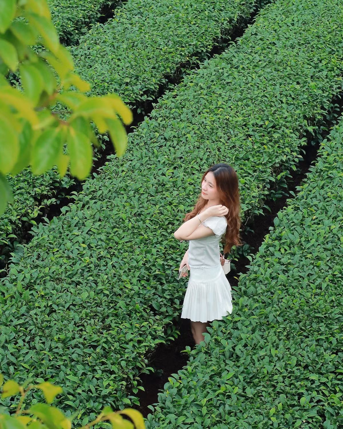 Ngoài thưởng thức ẩm thực, du khách còn có thể trải nghiệm các hoạt động nông trại, tham quan cơ sở chế biến sữa, tham gia lễ hội mùa hoa mận hay tìm hiểu đời sống cộng đồng dân tộc Thái, Mông, Khơ Mú. Sự kết hợp giữa thiên nhiên nguyên sơ và văn hóa địa phương tạo nên những trải nghiệm khó quên cho mỗi hành trình.