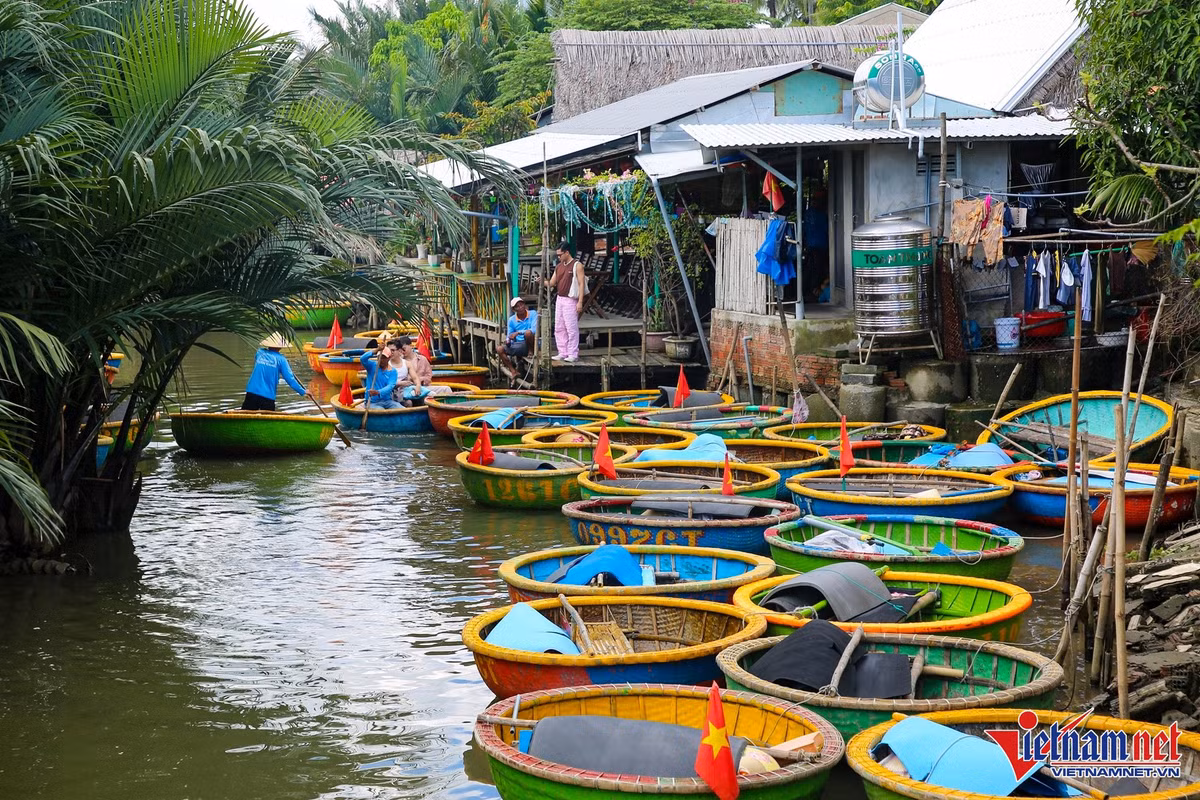 Hành trình kéo dài khoảng hai giờ đưa du khách trôi nhẹ trên mặt nước phẳng lặng, nghe những câu hò, điệu lý xứ Quảng vang lên giữa không gian sông nước. Du khách còn được tận mắt xem cảnh người dân thả lưới bắt cá, thử câu cua, câu cá ngay dưới những bụi dừa nước, hoặc thưởng thức màn biểu diễn quay thúng đầy phấn khích. Ảnh Báo Vietnamnet
