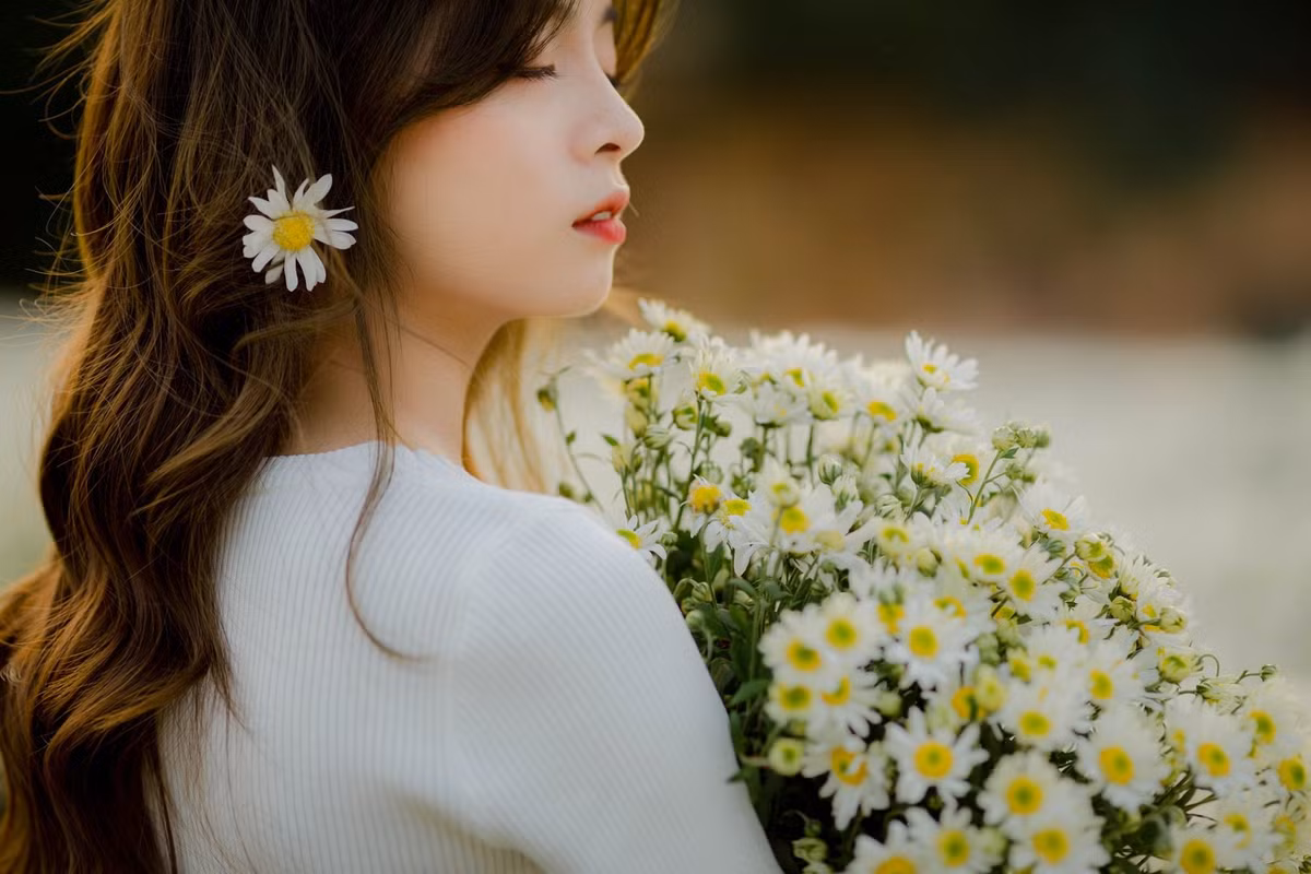 Cúc họa mi nở không chỉ làm đẹp Hà Nội mà còn trở thành biểu tượng mùa đông, gợi nhắc mọi người về những khoảnh khắc bình yên, dịu dàng trong cuộc sống. Mùa hoa năm nay, những bông hoa trắng vẫn tiếp tục khiến các chị em Hà thành “ríu rít” check-in, tạo nên bức tranh mùa đông đầy thơ mộng giữa lòng thủ đô. Ảnh Internet