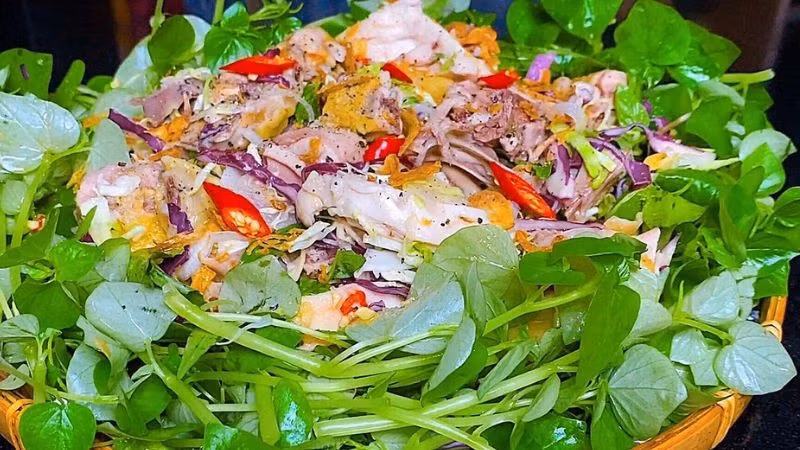 Rau càng cua (Peperomia pellucida) là cây thân thảo, mọng nước, thường mọc hoang ở những nơi ẩm thấp, ven tường, gốc cây hoặc vườn nhà, đặc biệt phát triển mạnh vào mùa mưa. Cây có thân mềm, giòn, lá hình tim nhỏ, màu xanh đậm, dễ thu hái và chế biến. Không chỉ phổ biến trong ẩm thực, rau càng cua còn được đánh giá cao về mặt dinh dưỡng. Ảnh minh họa