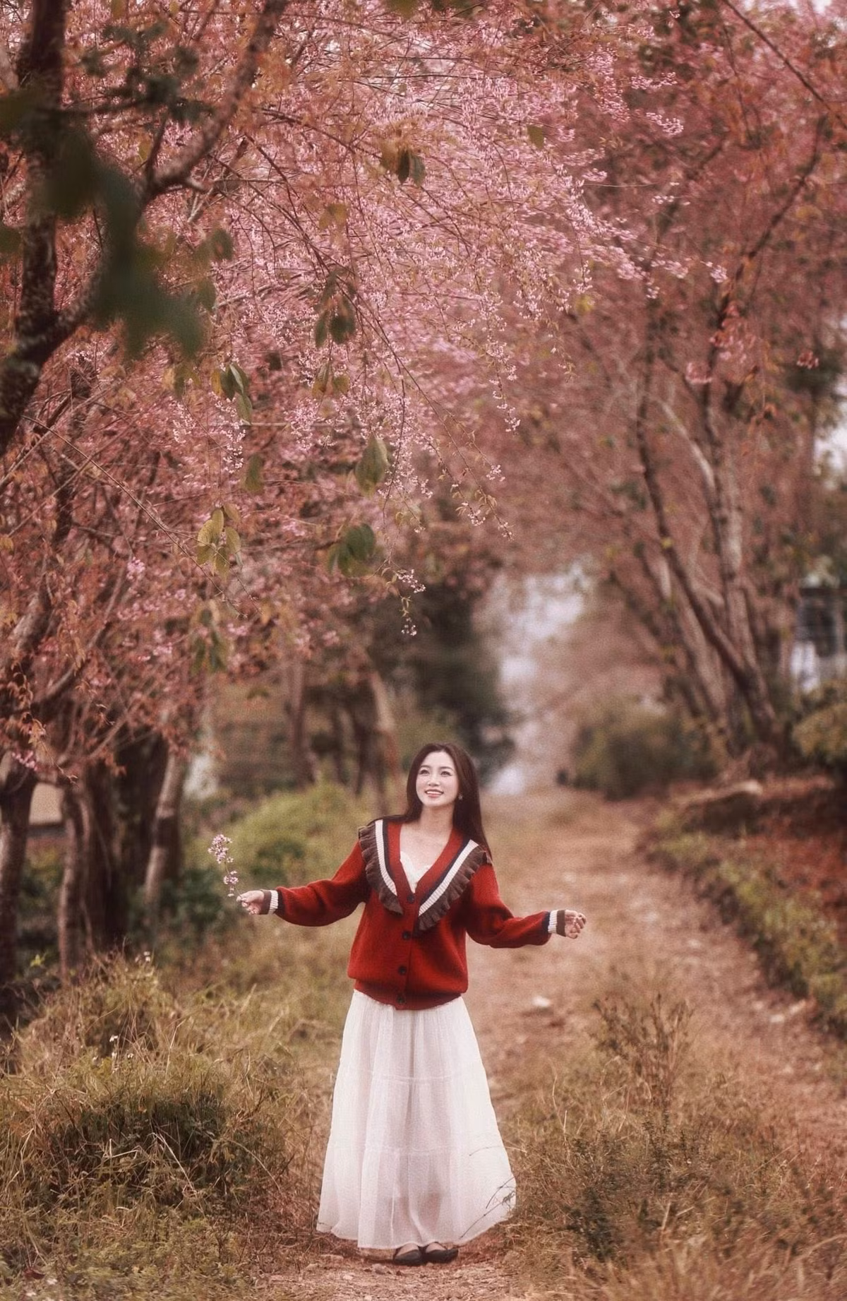 Dù chưa bước sang mùa du lịch cao điểm, các con đường mai anh đào ở làng chè vẫn thu hút đông du khách, đặc biệt là các bạn trẻ và nhiếp ảnh gia. Nhiều người lựa chọn đến Mộc Châu vào thời điểm này để tránh cảnh đông đúc, đồng thời săn những khung hình mang sắc thái rất riêng của cuối đông vùng cao. Ảnh Nam Lêu Lổng
