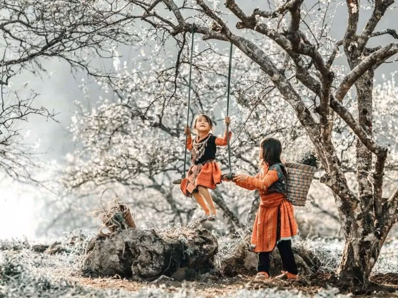 Với sự đa dạng khí hậu, cảnh quan và văn hóa, Việt Nam luôn chào đón du khách quanh năm. Chọn đúng thời điểm giúp chuyến đi thêm trọn vẹn, từ biển xanh, núi cao đến những lễ hội đậm bản sắc địa phương. Ảnh MIA