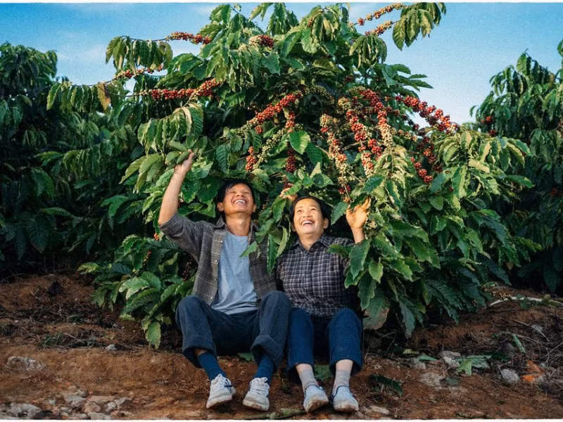 Hương cà phê lan trong gió, quyện cùng tiếng gùi quả, tiếng nói cười rộn rã của người dân buôn làng – tất cả tạo nên một không gian mang đậm bản sắc Tây Nguyên. Không chỉ là hương vị, cà phê còn là linh hồn của vùng đất này, là niềm tự hào của những con người sống giữa nắng gió đại ngàn. Ảnh H.M