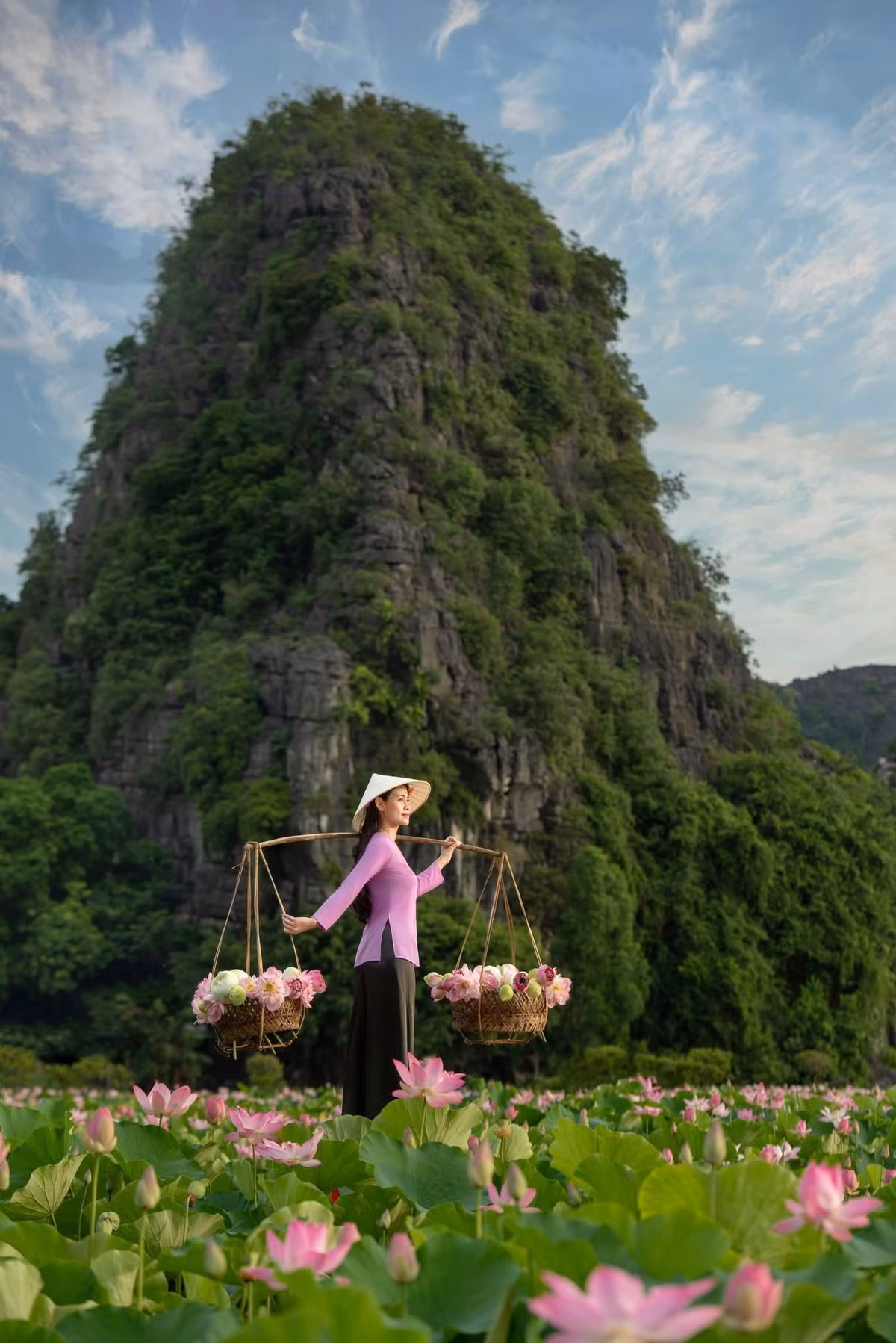 Saigontourist nhận tổ chức tour riêng theo yêu cầu, có thể kết hợp thăm Tràng An – Bái Đính, mức giá từ 1.200.000 đồng/nhóm 2–4 người với xe riêng và hướng dẫn viên đồng hành. The Sinh Tourist (Hà Nội) cung cấp tour ghép vào cuối tuần, kết hợp chèo thuyền Tam Cốc – đầm sen – mua sắm đặc sản, giá từ 750.000 đồng/người và có kèm dịch vụ chụp ảnh. Riêng Ninh Bình Excursion có tour trải nghiệm nửa ngày bằng xe điện, hướng dẫn viên bản địa đi kèm, giá 490.000 đồng/người, bao gồm trà sen và trang phục chụp ảnh miễn phí (không bao gồm ăn trưa). Ảnh Hoàng Trường Sơn