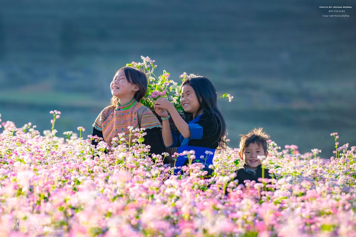 Những bản làng dân tộc thiểu số quanh khu vực trồng hoa vẫn giữ nguyên nếp sống truyền thống, từ nhà sàn, ruộng bậc thang đến các món ăn dân dã. Thăm các bản làng, trò chuyện với người dân, du khách sẽ hiểu thêm câu chuyện về loài hoa gắn liền đời sống và văn hóa nơi đây. Ảnh Hoàng Dưỡng