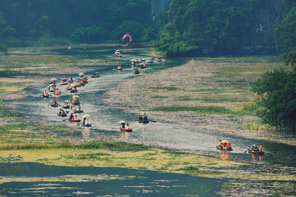 Từ tháng 10 đến hết tháng 12, Tam Cốc (Ninh Bình) bước vào thời khắc đẹp nhất trong năm khi hoa súng bắt đầu nở rộ, nhuộm hồng mặt nước và tạo nên khung cảnh nên thơ giữa dãy núi đá vôi kỳ vĩ.