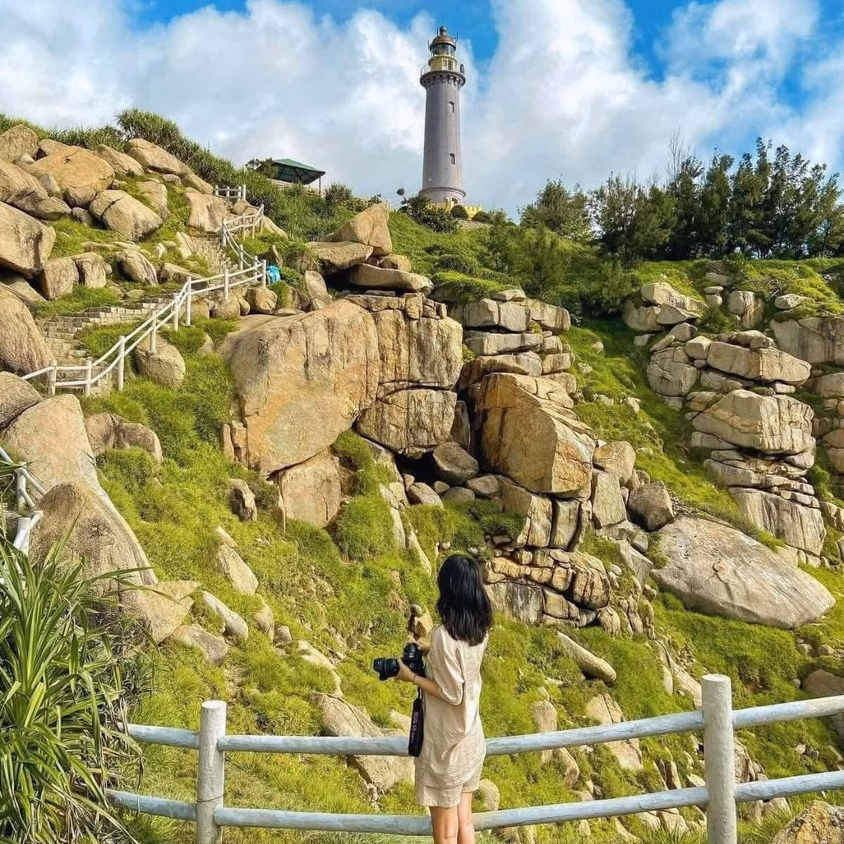 mui-dien.jpg