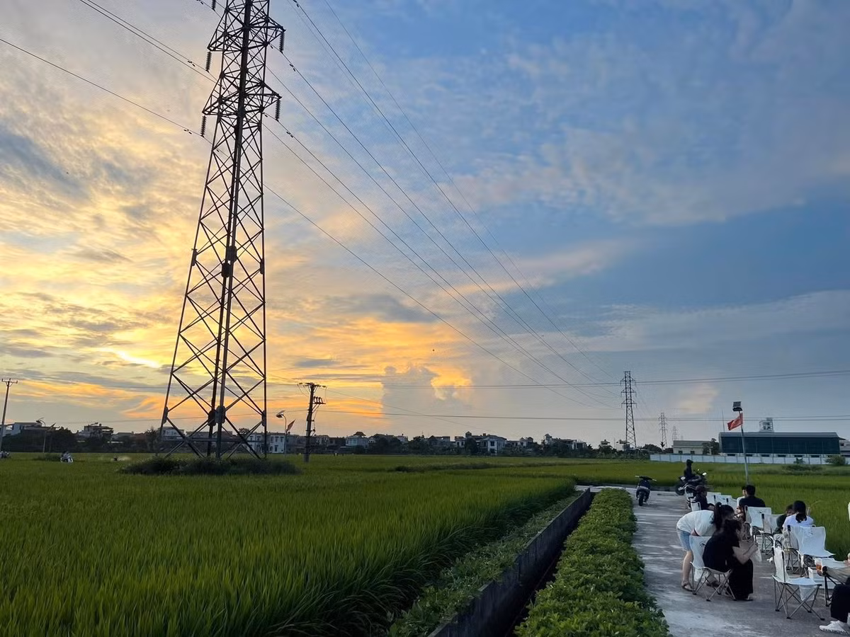 Những ngày gần đây, mạng xã hội lan truyền loạt ảnh về một quán cà phê đặc biệt nằm giữa đồng lúa xanh mướt ở xã Nguyên Xá, Thái Bình. Ảnh Vietnamet