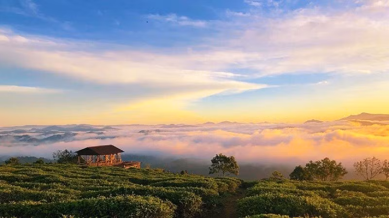 da-lat.jpg
