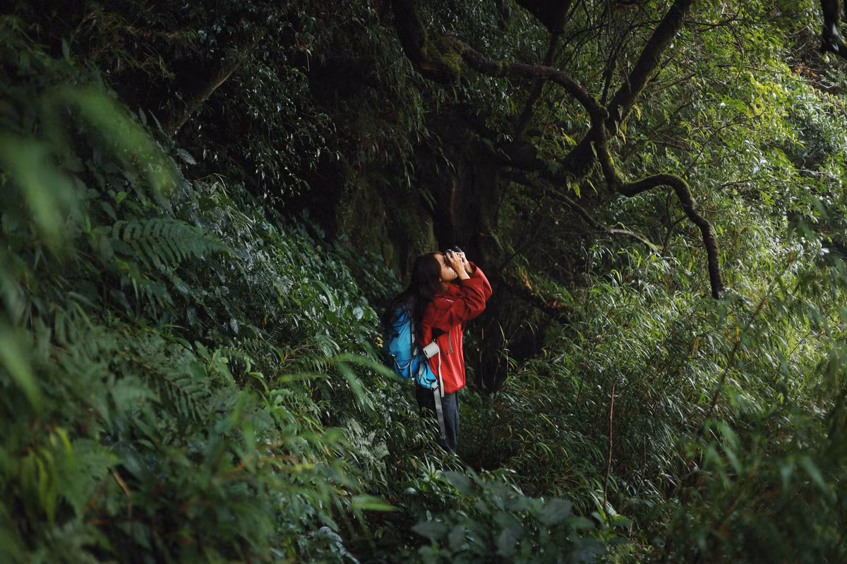 Ảnh Nô Outdoor