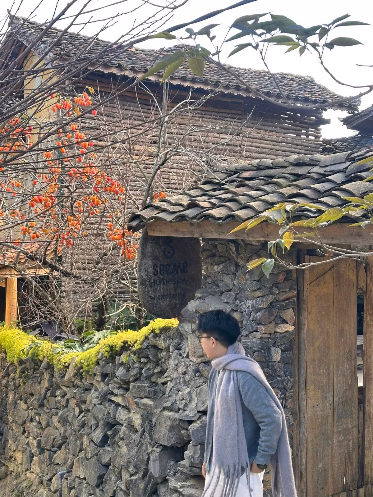 Những ngày cuối tuần, du khách đổ về đông nghịt, xếp hàng dài chỉ để sở hữu một bức ảnh dưới tán hồng cổ mộc mạc nhưng vô cùng hút mắt. ẢnhTí Lầu