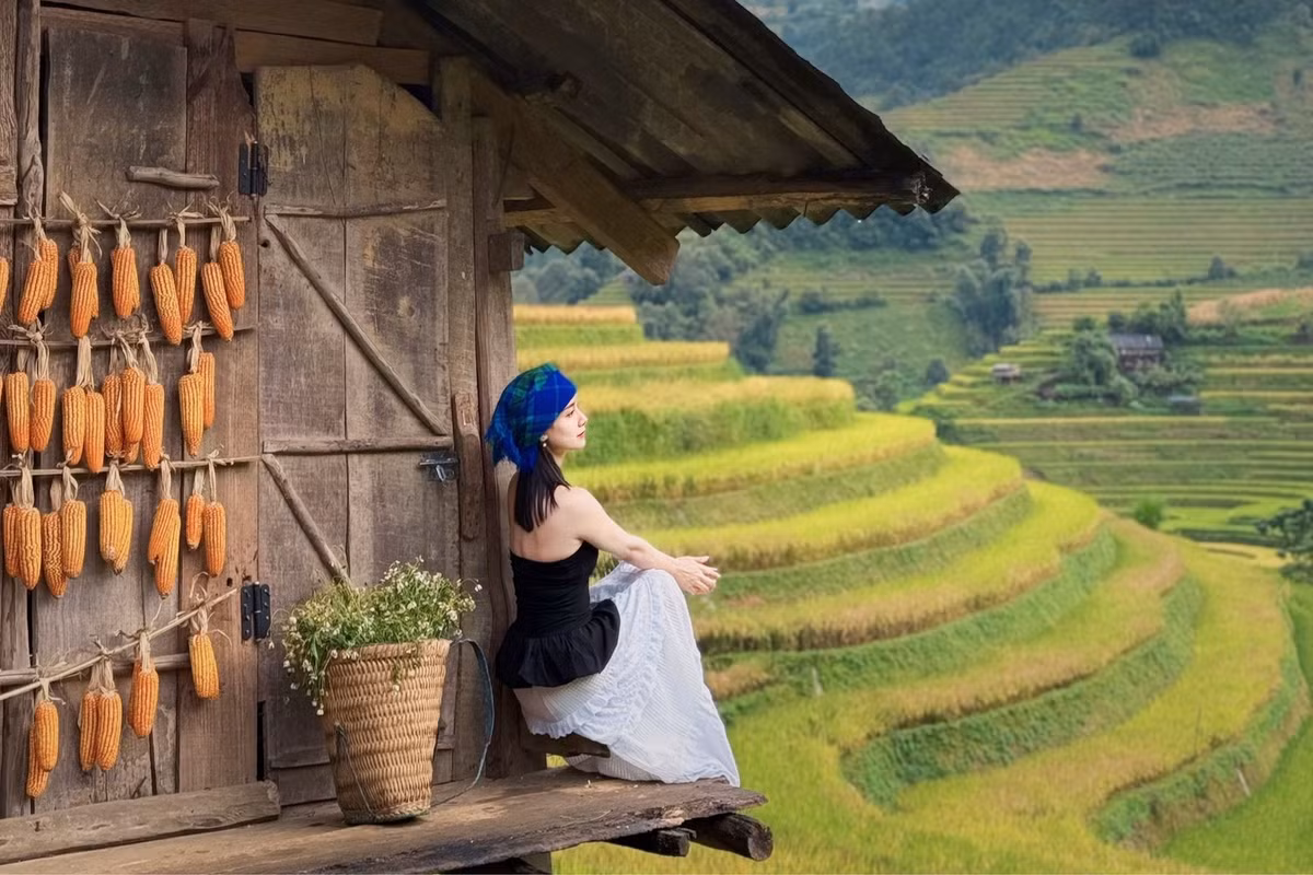 Trong số các điểm ngắm lúa, đồi Móng Ngựa nổi bật với địa hình độc đáo, là điểm đến không thể bỏ qua. Ảnh Tran Thuy