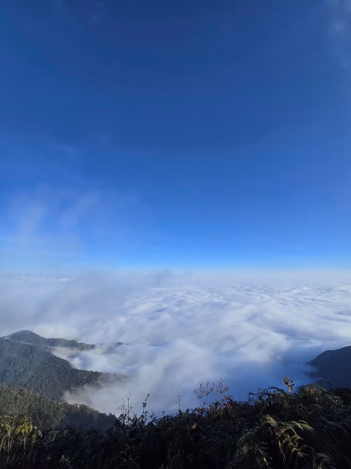 Hành trình Trekking Tây Côn Lĩnh không chỉ là thử thách thể chất mà còn là trải nghiệm văn hóa, thiên nhiên và cảnh sắc độc đáo của vùng biên viễn Đông Bắc. Mỗi bước chân, mỗi khoảnh khắc trên đỉnh núi đều mang đến cảm giác làm chủ đất trời – phần thưởng xứng đáng cho mọi nỗ lực chinh phục thử thách.