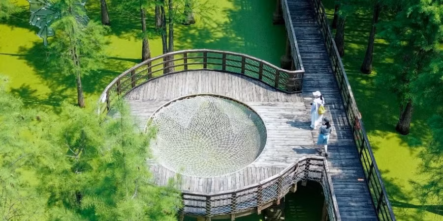 Dù đứng trên cầu gỗ, ngồi kayak hay chụp cận cảnh cây thủy sinh, mỗi bức ảnh đều như một bức tranh. Ảnh Otrip