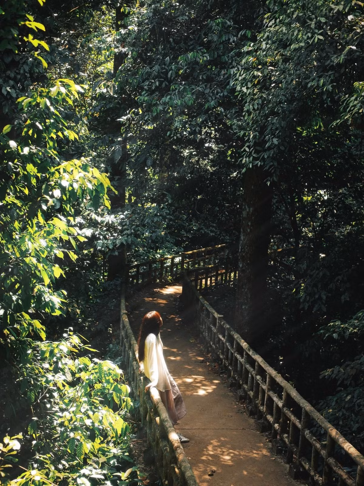 mua-buom1.jpg