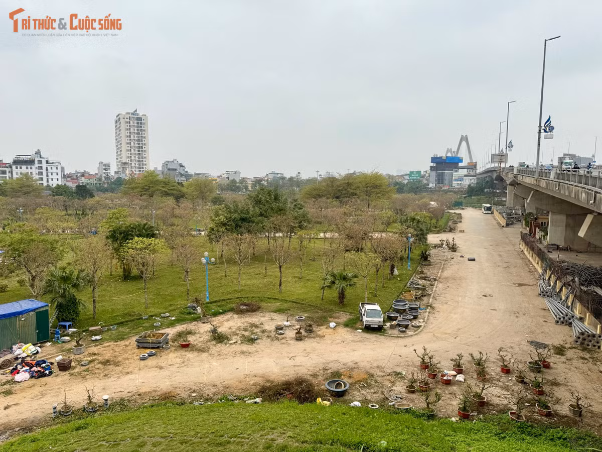 Nằm ngay dưới chân cầu Nhật Tân tuyến giao thông huyết mạch kết nối trung tâm Hà Nội với Cảng Hàng không quốc tế Nội Bài, vườn hoa Nhật Tân (phường Phú Thượng, Hà Nội) từng được kỳ vọng là điểm nhấn cảnh quan tại khu vực cửa ngõ phía Bắc Thủ đô.