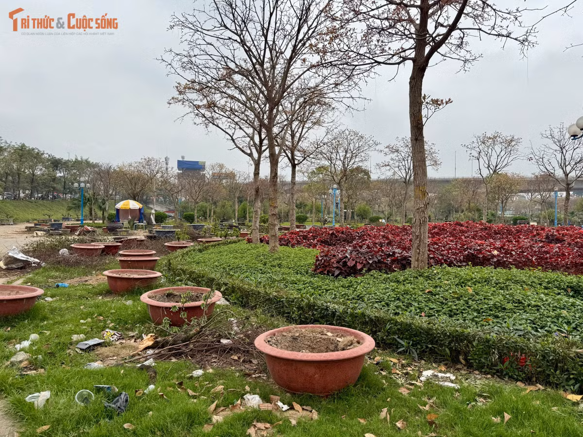 Trong khi Hà Nội đang triển khai nhiều chương trình chỉnh trang đô thị, cải tạo công viên và vườn hoa theo hướng mở, xanh sạch đẹp, thì tình trạng xuống cấp tại khu vực dưới chân cầu Nhật Tân lại cho thấy một bức tranh hoàn toàn trái ngược.
