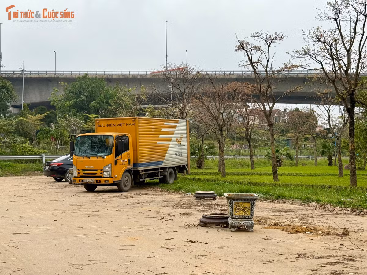 Dạo quanh khuôn viên vườn hoa, không khó để bắt gặp cảnh xe tải, xe khách và nhiều phương tiện cá nhân ra vào, đỗ tràn lan trên các khoảng đất trống. Một số khu vực thậm chí trở thành nơi tập lái xe, mặt đất bị cày xới bởi dấu bánh xe, hình thành những lối đi tạm bợ, làm phá vỡ cảnh quan vốn được quy hoạch làm không gian xanh.