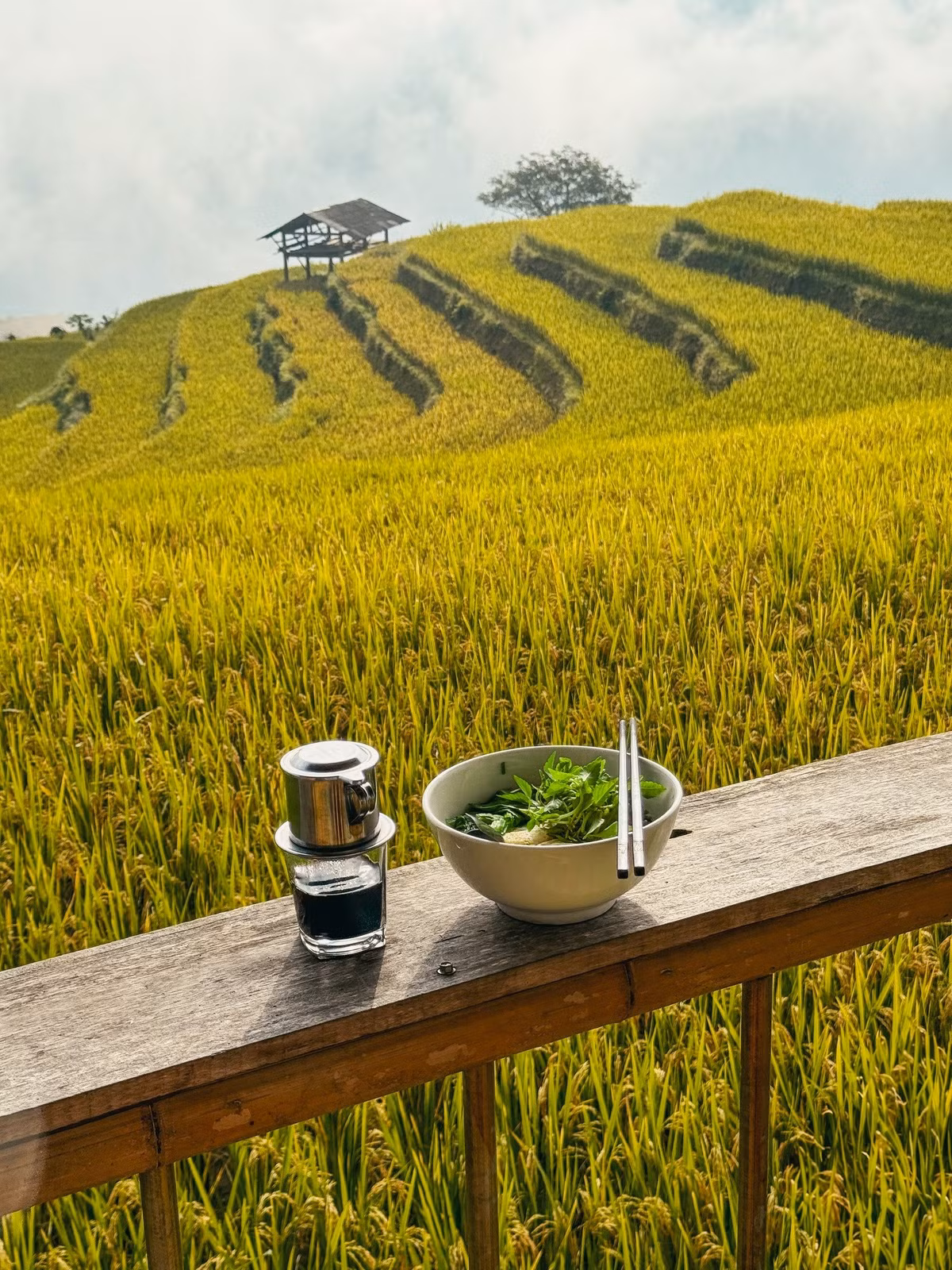 Đỉnh điểm của mùa vàng thường rơi vào 25/9 – 5/10, lúc ánh nắng sớm kết hợp với lớp sương mỏng buổi chiều tạo nên bức tranh hùng vĩ, khó nơi nào sánh kịp. Ảnh Win Đi