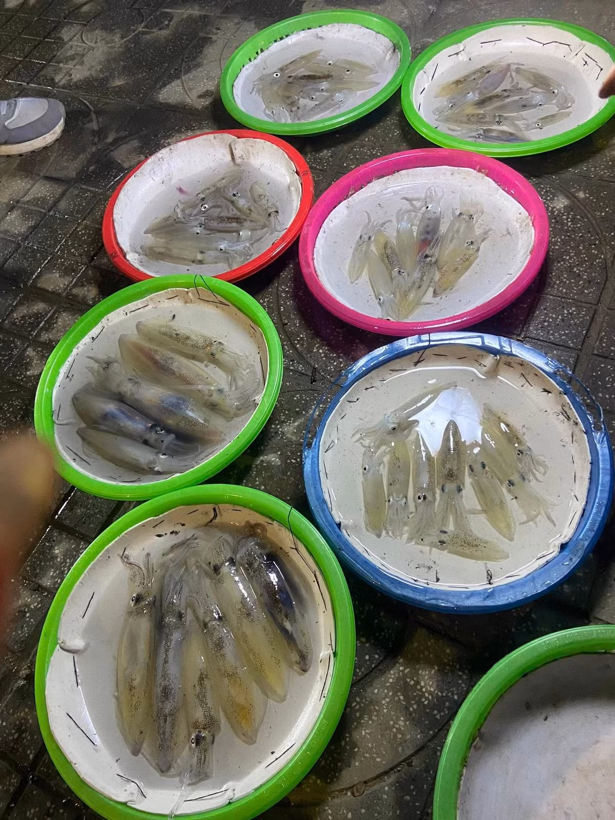 Không ồn ào như những khu du lịch ban ngày, Cửa Lò về đêm mang một nhịp sống khác chậm hơn nhưng lại náo nhiệt theo cách rất riêng. Trên tuyến đường dẫn ra đảo Lan Châu (phường Cửa Lò, tỉnh Nghệ An), từ khoảng 19h, một “phiên chợ không chính thức” bắt đầu hình thành. Ảnh Nghệ An News