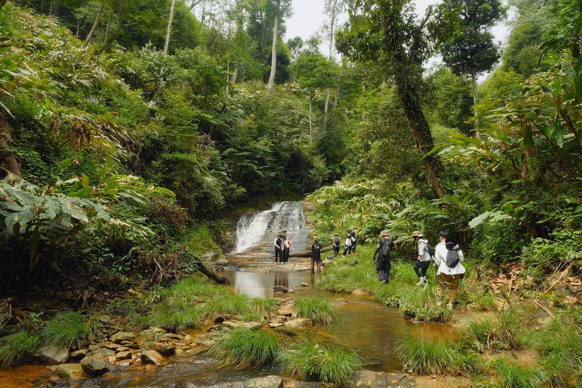 Cung đường trekking từ trung tâm xã Y Tý đi A Lù, Ngải Thầu Thượng, Lao Chải hay thác Ngải Trồ không quá dài hay dốc, phù hợp với cả người mới bắt đầu. Ảnh Phạm Quang Tuyên