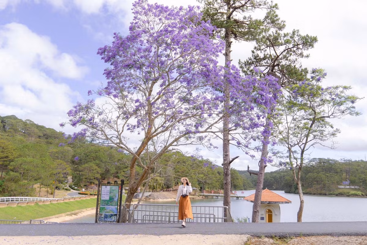 Ngày thứ hai, du khách có thể bắt đầu chuyến tham quan tại Thung Lũng Tình Yêu. Với phong cảnh lãng mạn, nơi này là điểm đến lý tưởng cho các cặp đôi và những ai yêu thích thiên nhiên. Tiếp theo, ghé thăm Đồi Mộng Mơ, nơi bạn có thể thả mình trong không gian tươi mát của các khu vườn hoa và tham quan các công trình kiến trúc độc đáo. Ảnh SuMi