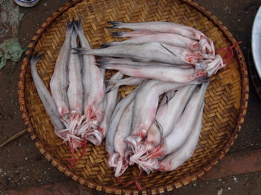 ca-khoai8.jpg