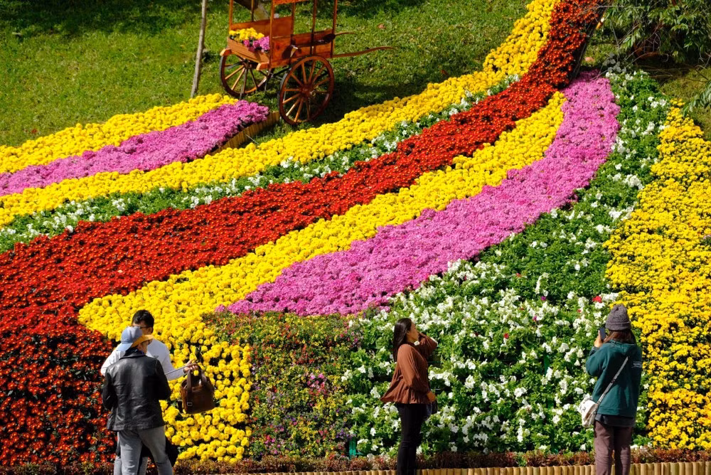 Tết Nguyên đán rơi vào cuối tháng 1 hoặc đầu tháng 2 có thể khiến vé máy bay và khách sạn tăng cao. Các lễ hội mùa đông như lễ hội hoa Đà Lạt tháng 12, lễ hội cà phê Buôn Ma Thuột tháng 3 và các hoạt động Giáng sinh tại Hà Nội, TP HCM, Huế cũng là điểm nhấn văn hóa. Ảnh TTXVN