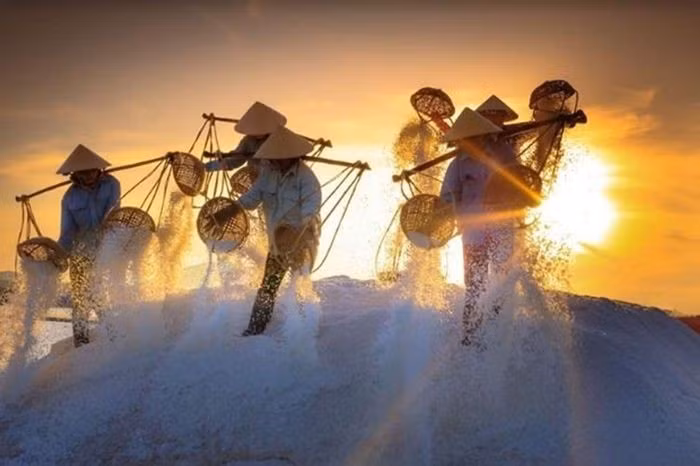 Cánh đồng muối Sa Huỳnh trải rộng trên vùng đất phẳng lặng, tận dụng triệt để nguồn nước biển và ánh nắng gay gắt của miền Trung để làm nên hạt muối trắng tinh. Ảnh luahnhvietnam