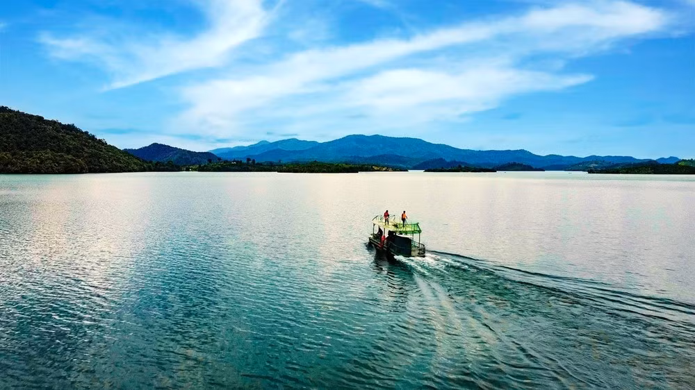 Một trải nghiệm khác được nhiều du khách yêu thích là cắm trại qua đêm bên bờ hồ. Khi màn đêm buông xuống, ánh lửa bập bùng soi rõ những gương mặt quây quần bên nhau, ly cà phê Lâm Đồng nóng hổi trên tay, phía xa là tiếng côn trùng rả rích và mùi gió rừng thoảng qua. Khoảnh khắc ấy khiến người ta cảm nhận rõ hơn nhịp sống chậm rãi, yên bình của vùng cao nguyên.