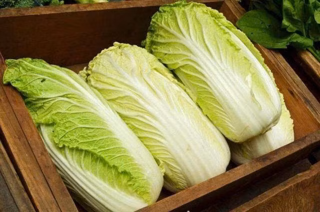 Cấu trúc lá cũng là yếu tố quyết định tùy theo món ăn. Cải lá nhỏ mềm, nhiều nước, thấm gia vị nhanh nên rất hợp để nấu canh, kho, hầm hoặc làm kim chi. Ảnh minh họa