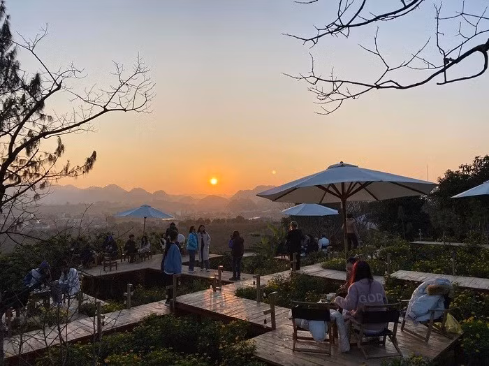 Ngày dạo chơi ở Mộc Châu sẽ trọn vẹn hơn khi kết thúc tại các quán cà phê như Đá Coffee, Cánh Cam hay Halian Garden, nơi có tầm nhìn rộng ra những đồi chè và là địa điểm lý tưởng để ngắm hoàng hôn. Ảnh Luhanhvietnam