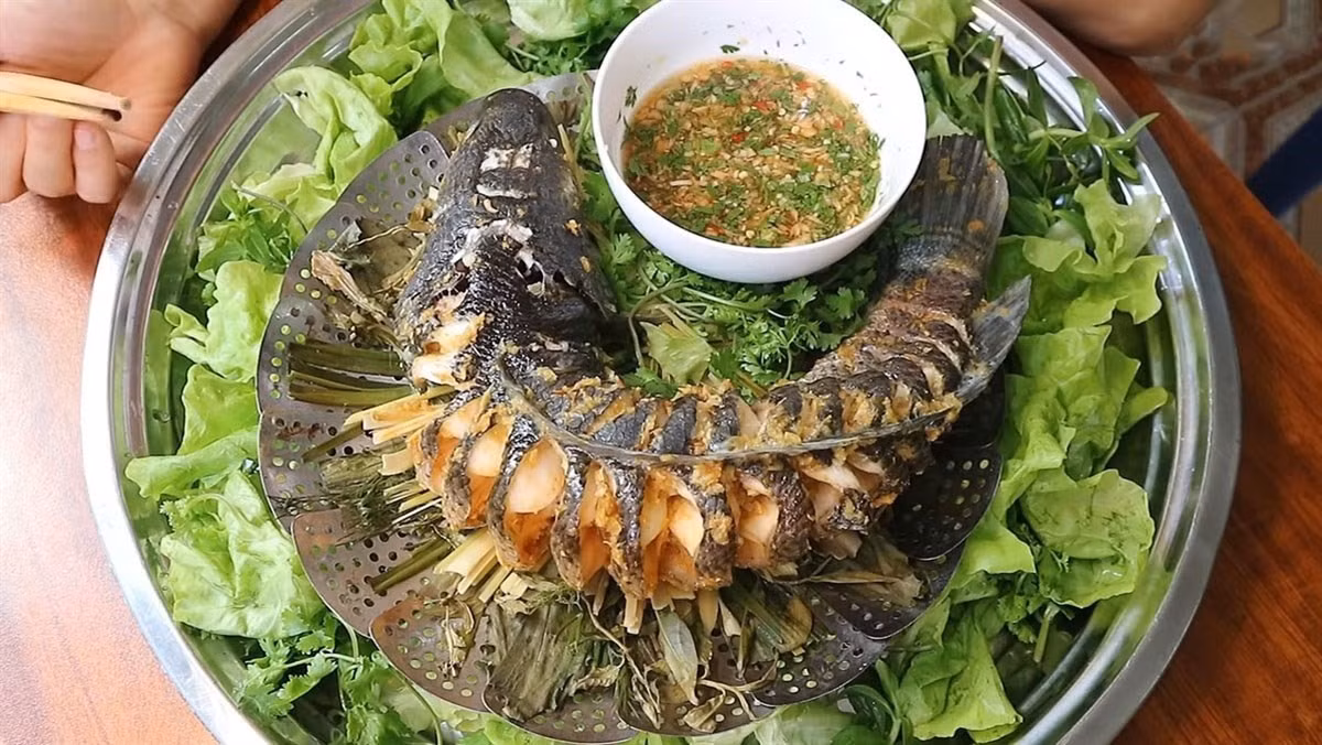 Tuy nhiên, dù giàu dinh dưỡng, cá lóc không phải thực phẩm phù hợp với tất cả mọi người. Những người mắc bệnh gout được khuyến cáo nên hạn chế sử dụng bởi cá lóc chứa purin chất khi chuyển hóa sẽ tạo ra axit uric, làm tăng nguy cơ bùng phát cơn đau gút. Ảnh minh họa/ Nguồn internet