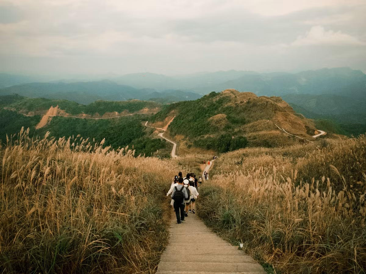 Buổi chiều, khi hoàng hôn buông xuống, cả không gian như được phủ lên lớp màu vàng cam dịu nhẹ, cỏ lau phản chiếu ánh nắng tạo nên khung cảnh lãng mạn đến nao lòng. Đây cũng là thời điểm “vàng” để săn ảnh, lưu lại những khoảnh khắc đẹp nhất của mùa thu vùng biên cương. Ảnh Dương Kim Cúc