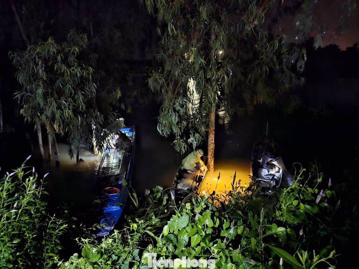 Ban đầu, chợ chỉ là nơi vài hộ dân sống ven kênh Tha La họp tự phát để bán cá đồng, bông súng, rau nhút… Nhưng qua hơn 30 năm, chợ đã phát triển thành điểm mua bán quen thuộc của ngư dân và các vựa cá tươi khắp vùng. Ảnh Báo Tiền phòng