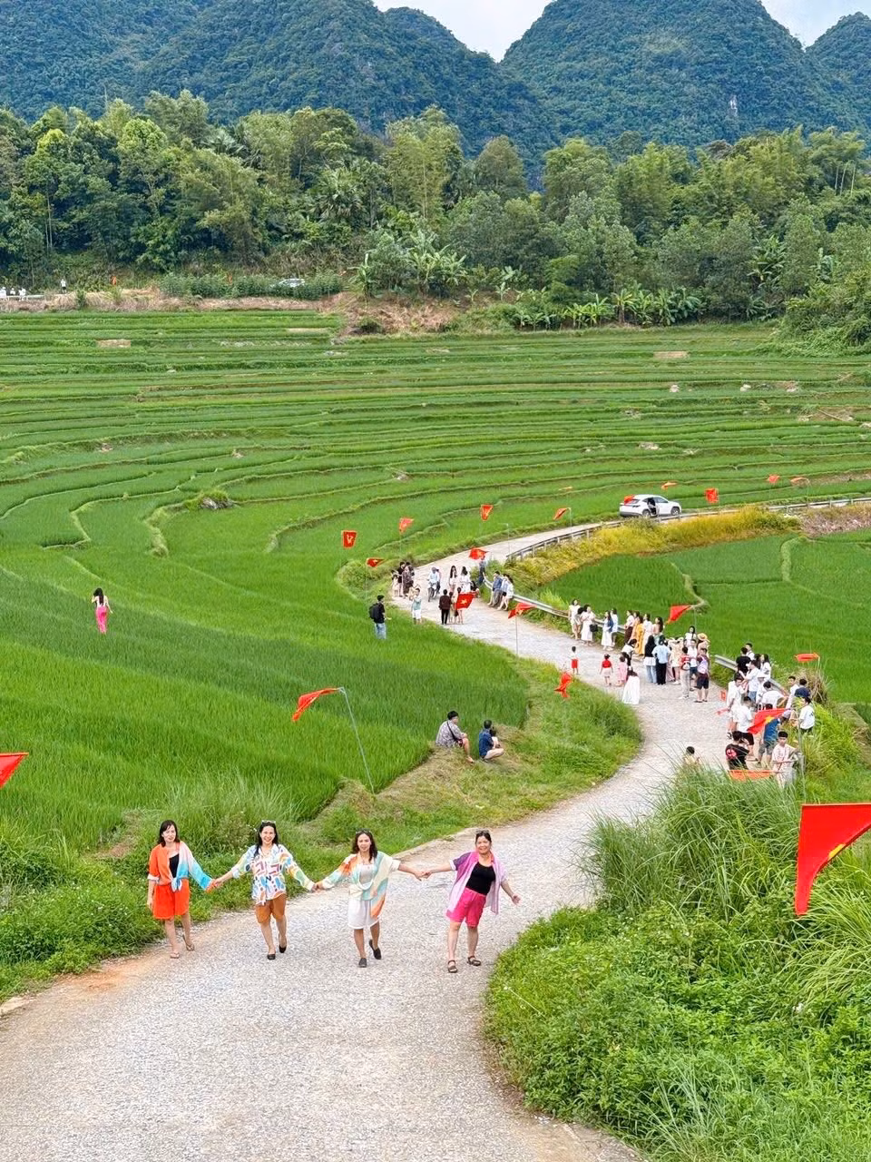 Không chỉ riêng Vân Hồ, cung đường chữ S tại bản Đôn, xã Pù Luông (tỉnh Thanh Hóa), cách Hà Nội khoảng 4-5 tiếng lái xe, cũng trở thành điểm check-in hấp dẫn. Ảnh Mist Valley Home