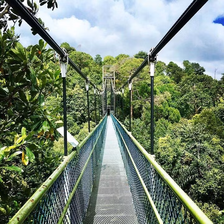 macritchie-reservoir1.jpg