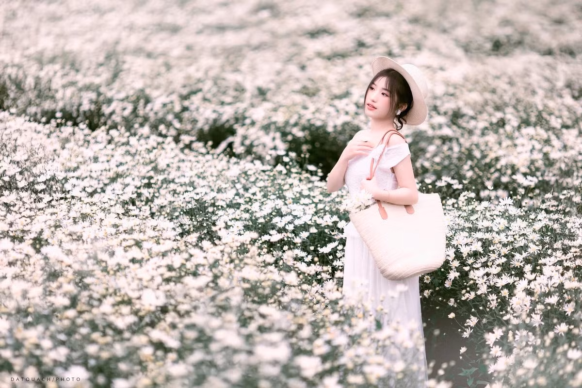Nhiều du khách cho rằng mùa này, cao nguyên không chỉ đẹp mà còn “nên thơ một cách dịu dàng”, giống như một bản giao hưởng thị giác giữa mùa lạnh. Ảnh Dat Quach