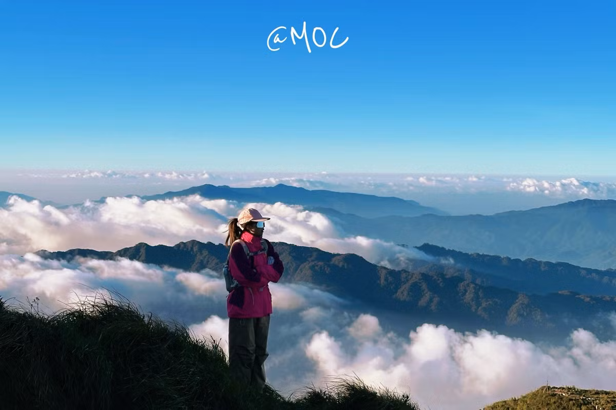 Mùa đông, du khách lại có cơ hội chiêm ngưỡng biển mây dày đặc và những buổi sáng phủ sương mờ ảo. Còn mùa xuân, hoa rừng đua nở, mang đến vẻ đẹp dịu dàng giữa khung cảnh hoang sơ của núi cao. Ảnh Moc