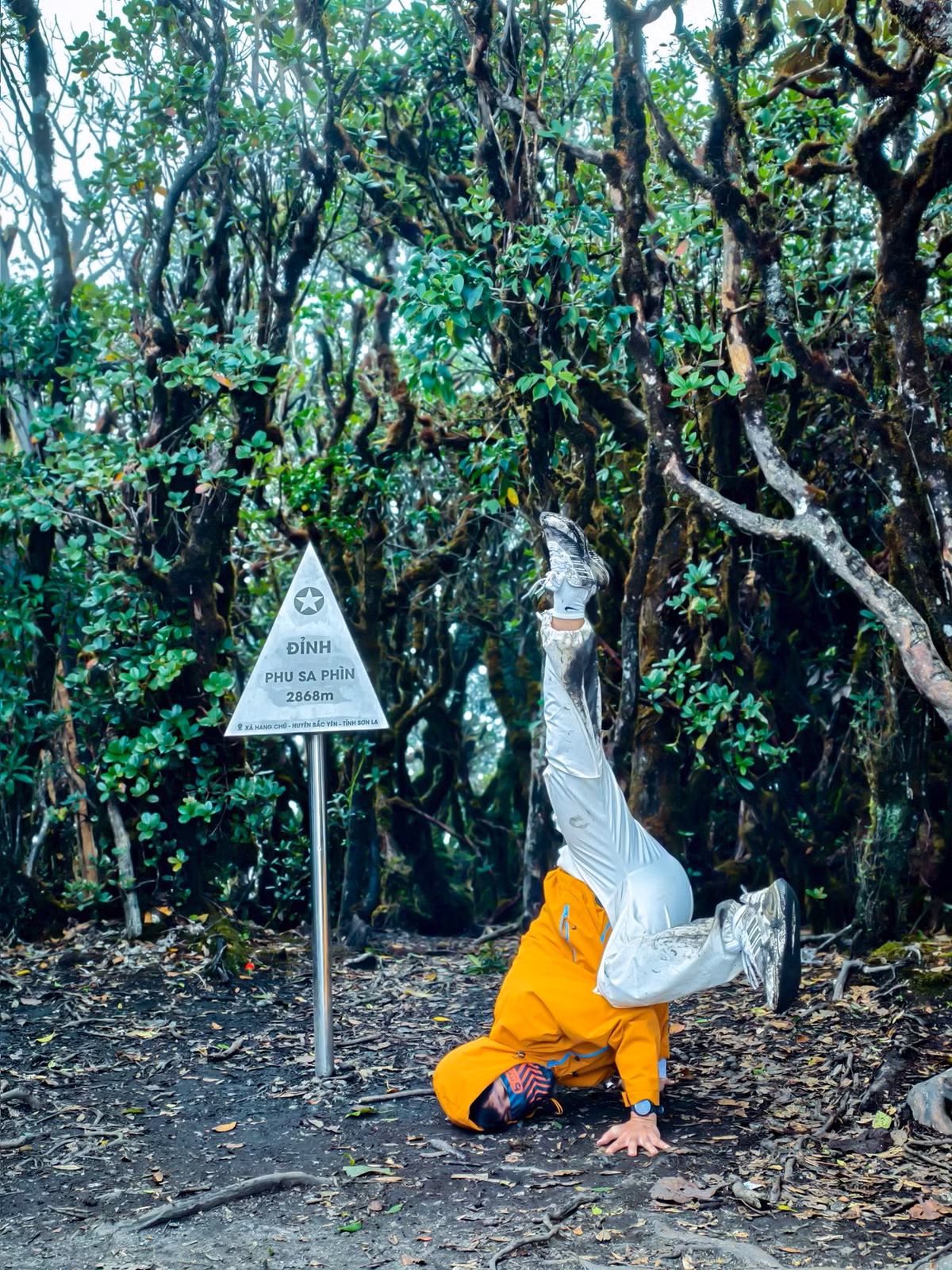 Đỉnh Phu Sa Phìn hiện vẫn giữ được vẻ nguyên sơ hiếm có, chưa bị thương mại hóa, là điểm đến lý tưởng cho những ai muốn tìm lại cảm giác hoang dã giữa rừng già. Giữa bạt ngàn mây trắng, những cánh rừng rêu phong và không khí trong lành, hành trình chinh phục “nóc nhà Tà Xùa” trở thành trải nghiệm khó quên, góp phần làm phong phú thêm bản đồ du lịch mạo hiểm của vùng cao Tây Bắc. Ảnh Nguyễn Văn Thắng