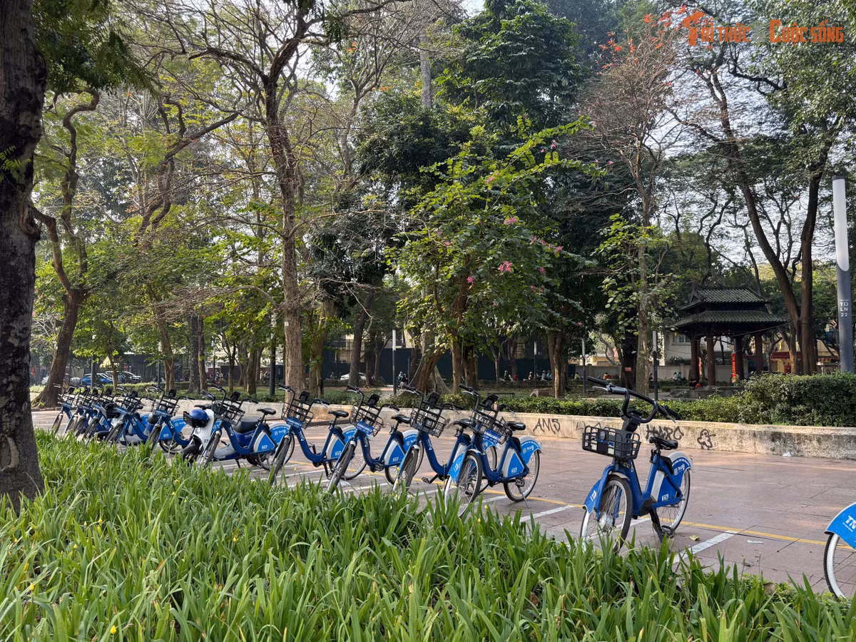 kto-tr_3997168852522105748.jpg