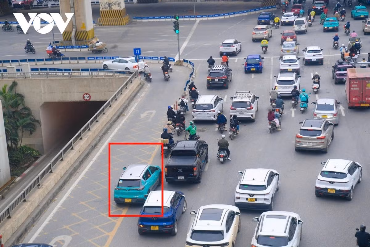 và taxi dịch vụ.