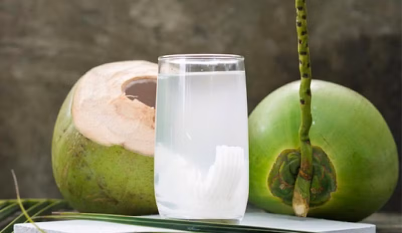 Nếu muốn tìm một thức uống tự nhiên giúp bù nước hiệu quả, nước dừa là lựa chọn lý tưởng. Nước dừa chứa nhiều chất điện giải như kali, magie, natri, giúp cân bằng dịch trong cơ thể và giảm mệt mỏi. Đặc biệt, nước dừa nguyên chất có ít đường, lại giàu vitamin và chất chống ô xy hóa, tốt cho cả làn da lẫn hệ miễn dịch. Ảnh minh họa